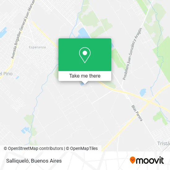 Salliqueló map