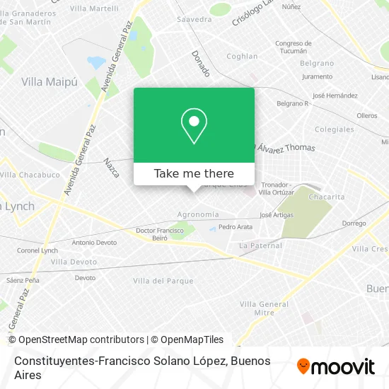 Mapa de Constituyentes-Francisco Solano López
