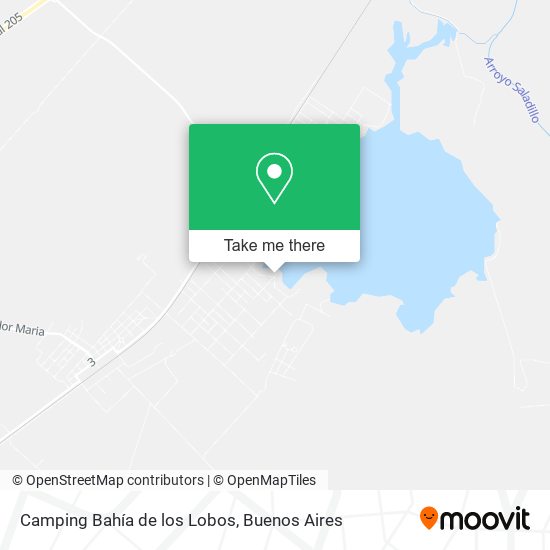 How to get to Camping Bahía de los Lobos by Colectivo or Train?