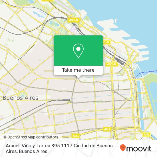 Mapa de Araceli Viñoly, Larrea 895 1117 Ciudad de Buenos Aires