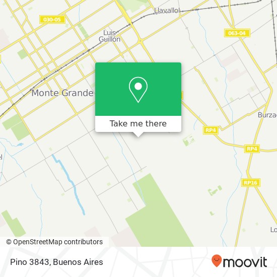 Pino 3843 map
