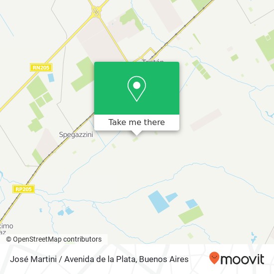 José Martini / Avenida de la Plata map
