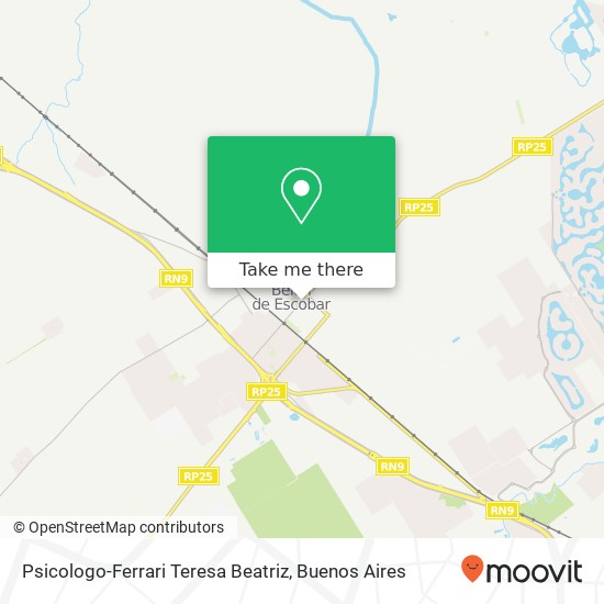 Psicologo-Ferrari Teresa Beatriz map