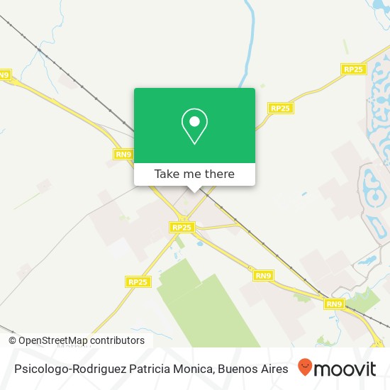 Psicologo-Rodriguez Patricia Monica map