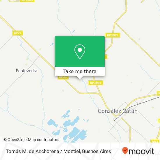 Mapa de Tomás M. de Anchorena / Montiel