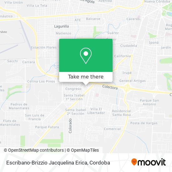 Escribano-Brizzio Jacquelina Erica map