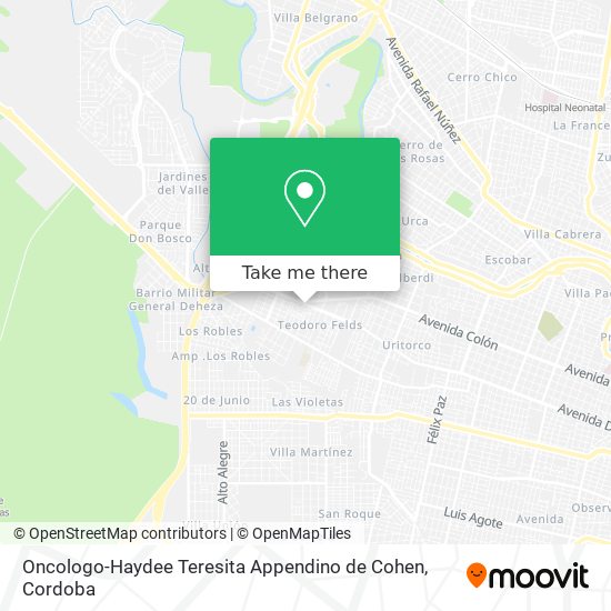 Oncologo-Haydee Teresita Appendino de Cohen map