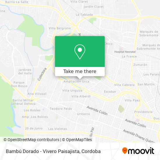 Mapa de Bambú Dorado - Vivero Paisajista