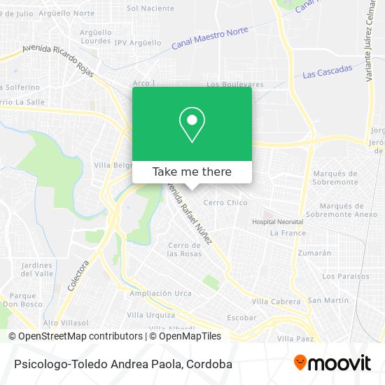 Mapa de Psicologo-Toledo Andrea Paola