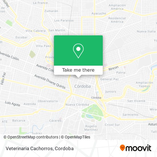 Mapa de Veterinaria Cachorros