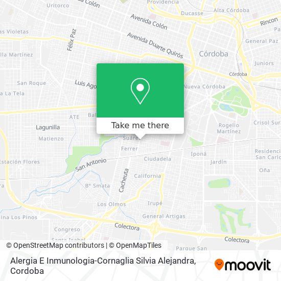 Alergia E Inmunologia-Cornaglia Silvia Alejandra map