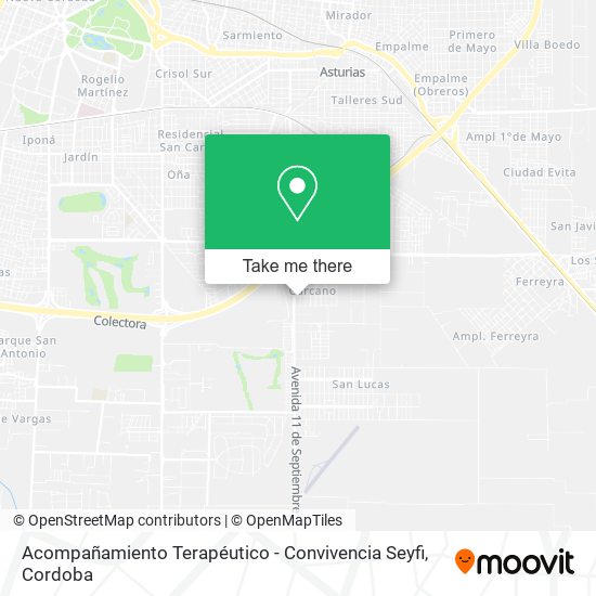 Mapa de Acompañamiento Terapéutico - Convivencia Seyfi