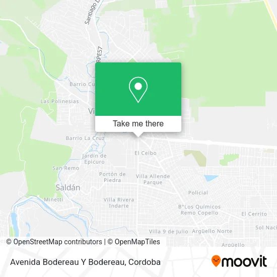 Avenida Bodereau Y Bodereau map