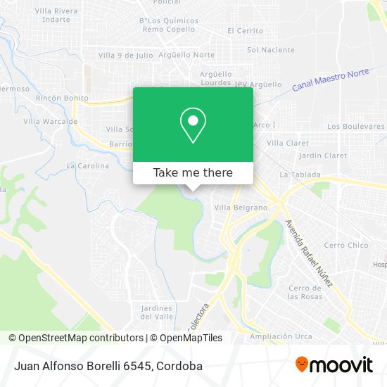Mapa de Juan Alfonso Borelli 6545
