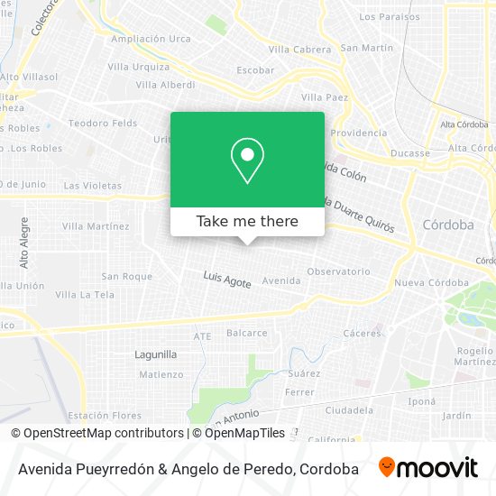 Avenida Pueyrredón & Angelo de Peredo map