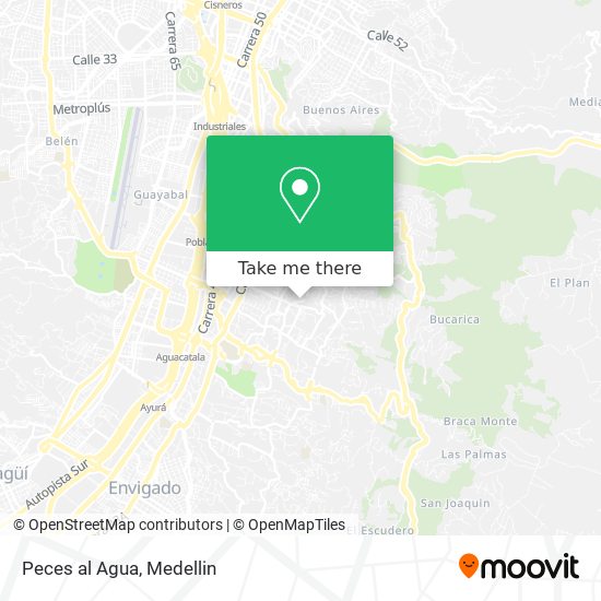 Mapa de Peces al Agua
