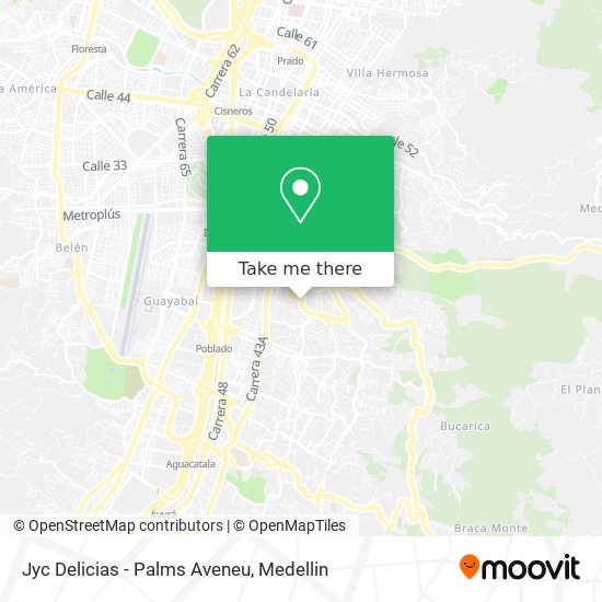 Jyc Delicias - Palms Aveneu map