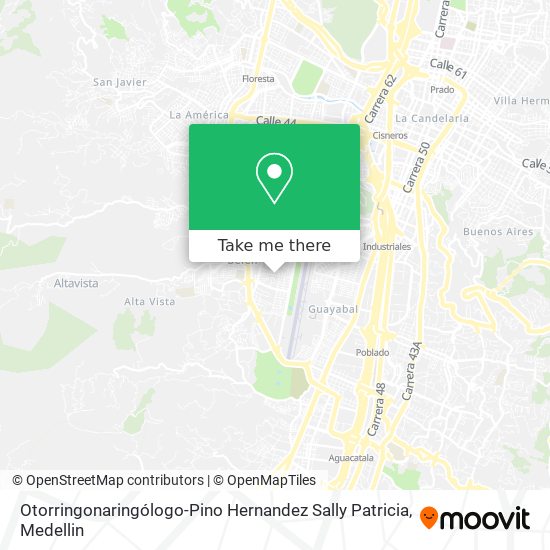 Otorringonaringólogo-Pino Hernandez Sally Patricia map