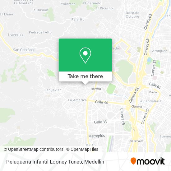 Peluquería Infantil Looney Tunes map