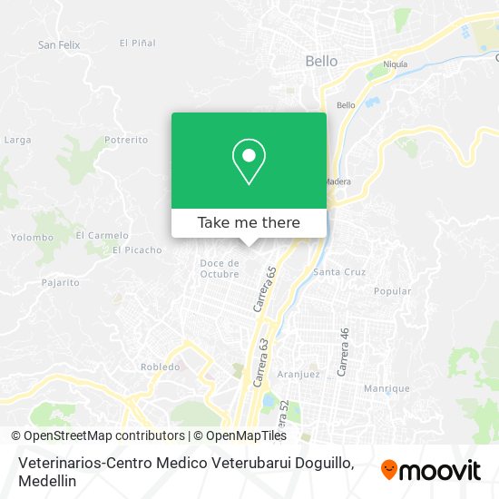 Veterinarios-Centro Medico Veterubarui Doguillo map
