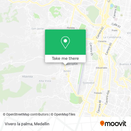 Mapa de Vivero la palma