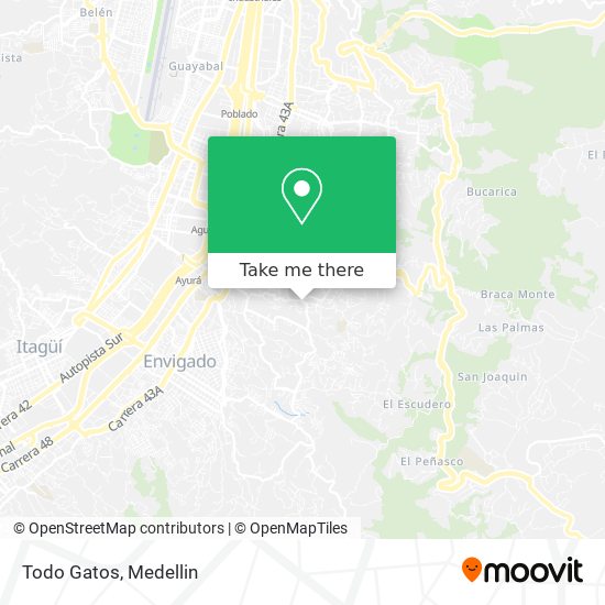 Todo Gatos map