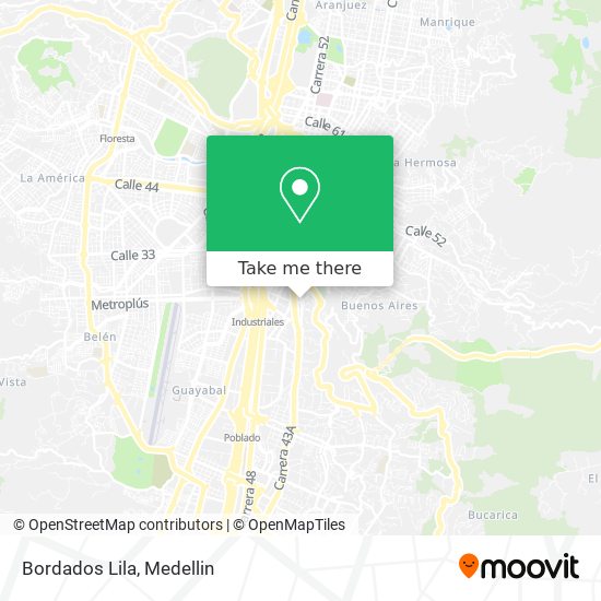 Mapa de Bordados Lila