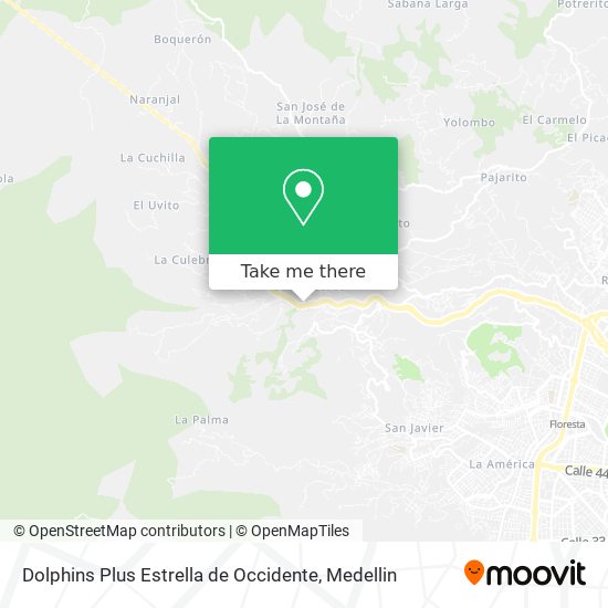 Dolphins Plus Estrella de Occidente map