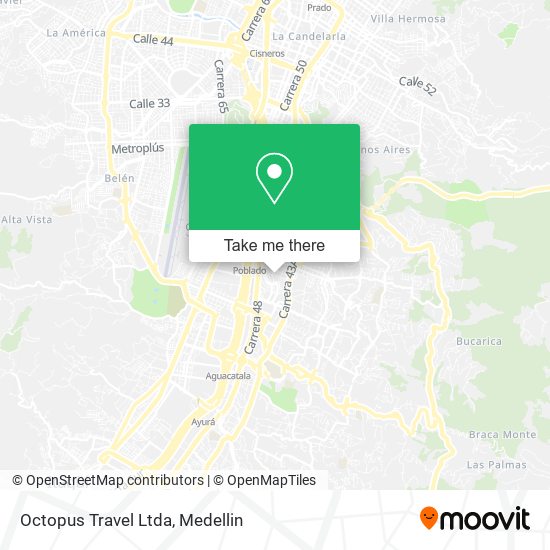 Mapa de Octopus Travel Ltda