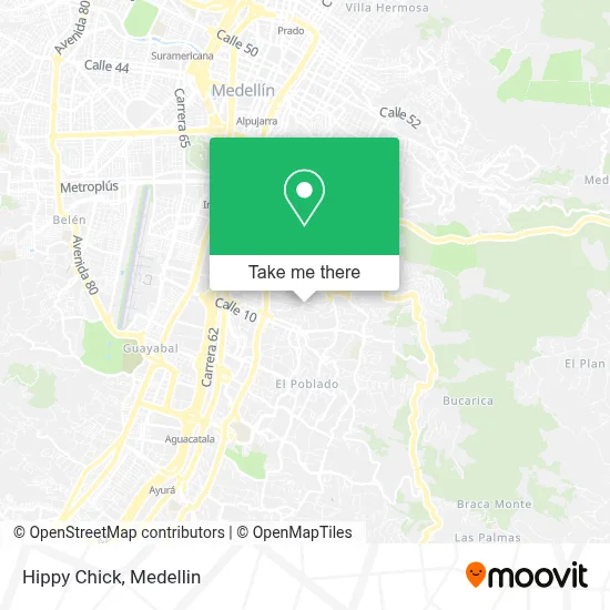 Hippy Chick map
