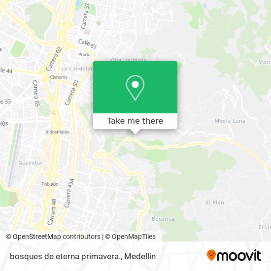 bosques de eterna primavera. map