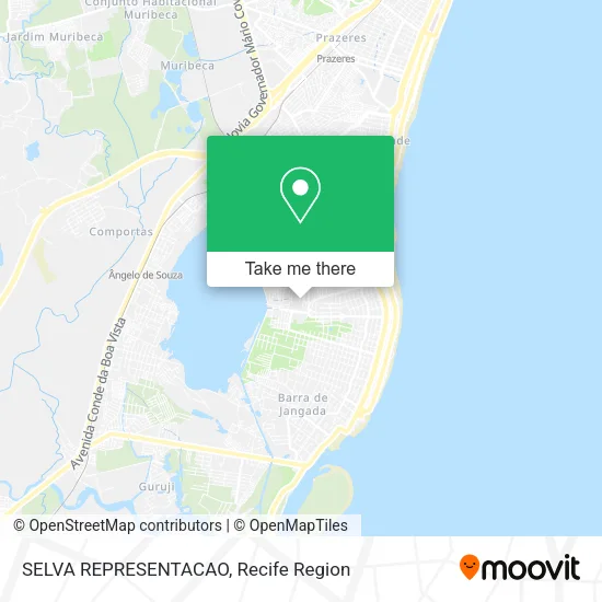 SELVA REPRESENTACAO map