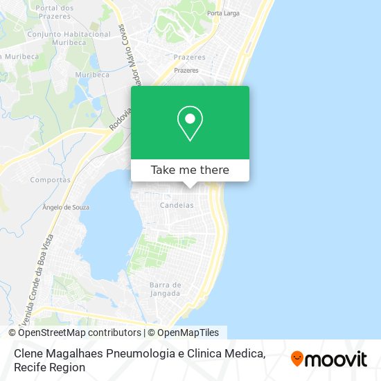 Clene Magalhaes Pneumologia e Clinica Medica map