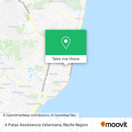 4 Patas Assistencia Veterinaria map