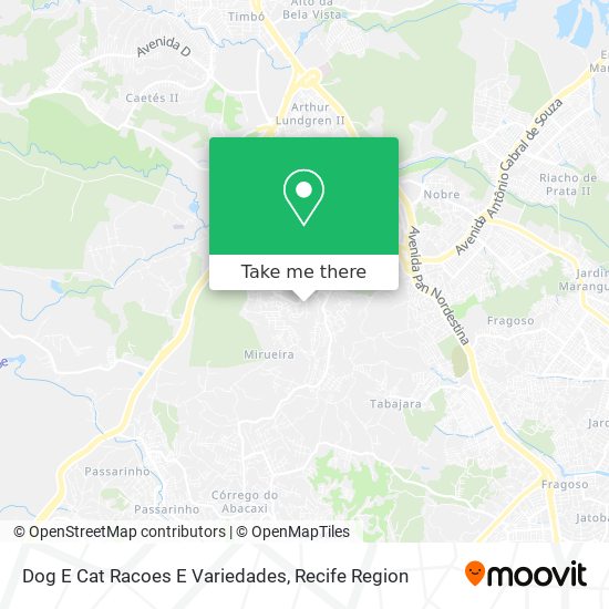 Dog E Cat Racoes E Variedades map