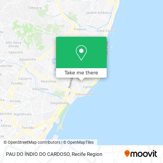 PAU DO ÍNDIO DO CARDOSO map
