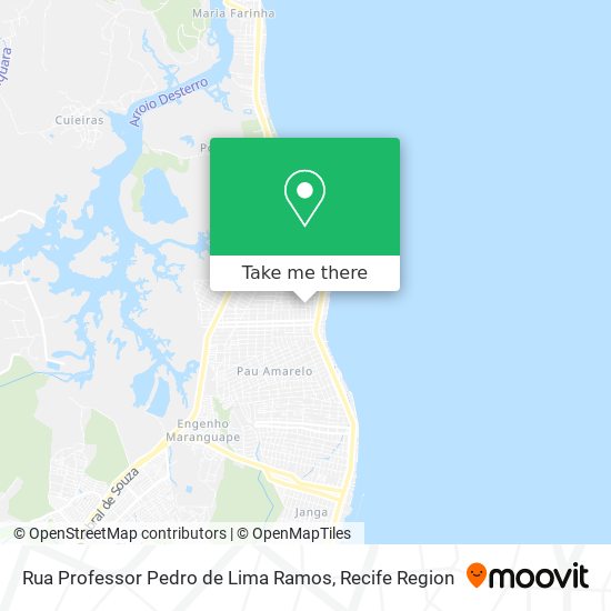 Rua Professor Pedro de Lima Ramos map