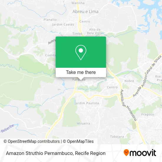 Amazon Struthio Pernambuco map