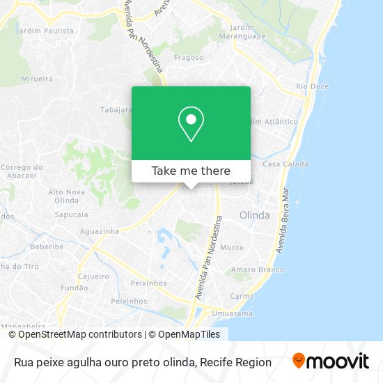 Rua peixe agulha ouro preto olinda map