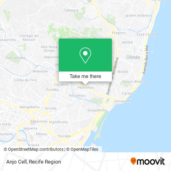 Anjo Cell map