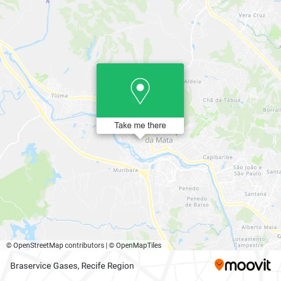 Braservice Gases map