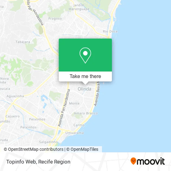 Topinfo Web map