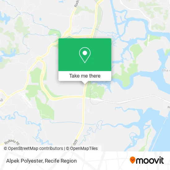 Alpek Polyester map