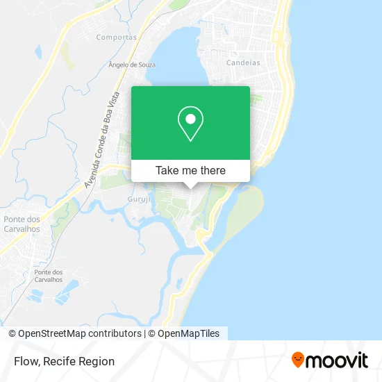 Flow map