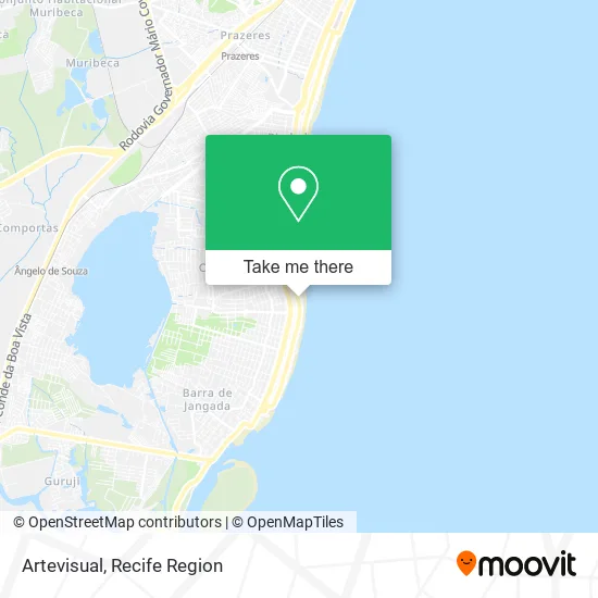 Artevisual map