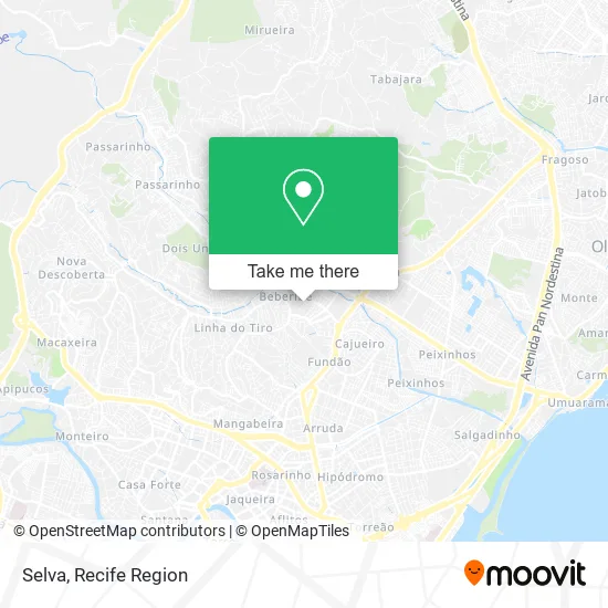 Selva map