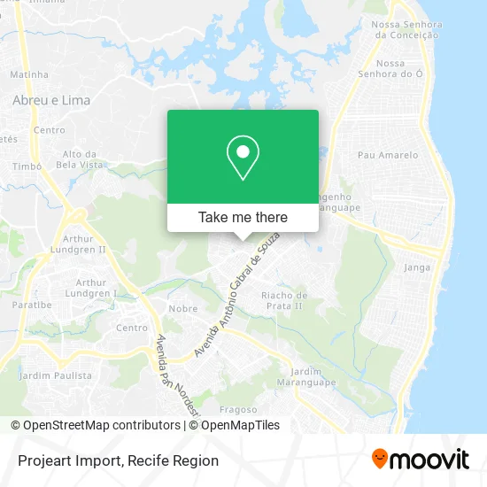Projeart Import map