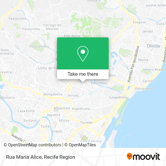 Rua Maria Alice map