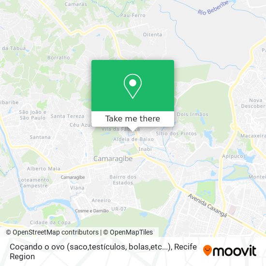 Coçando o ovo (saco,testículos, bolas,etc...) map