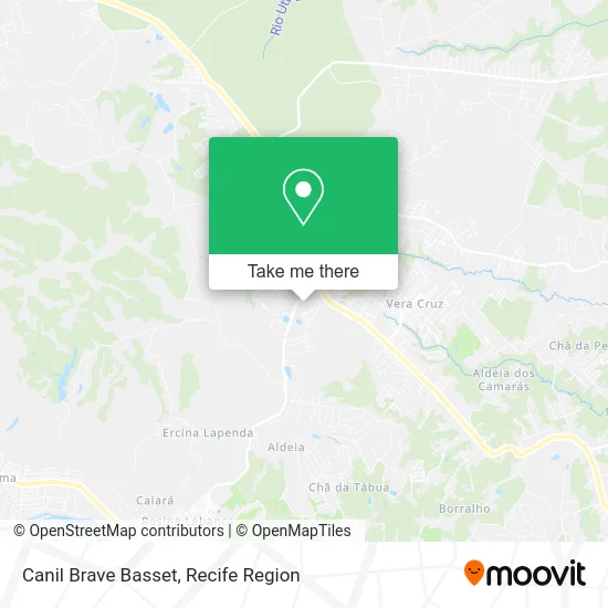 Canil Brave Basset map